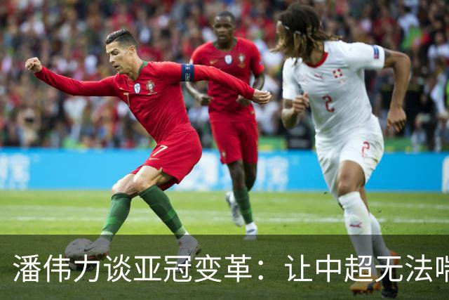 潘伟力谈亚冠变革：让中超无法喘息 球迷不用看了